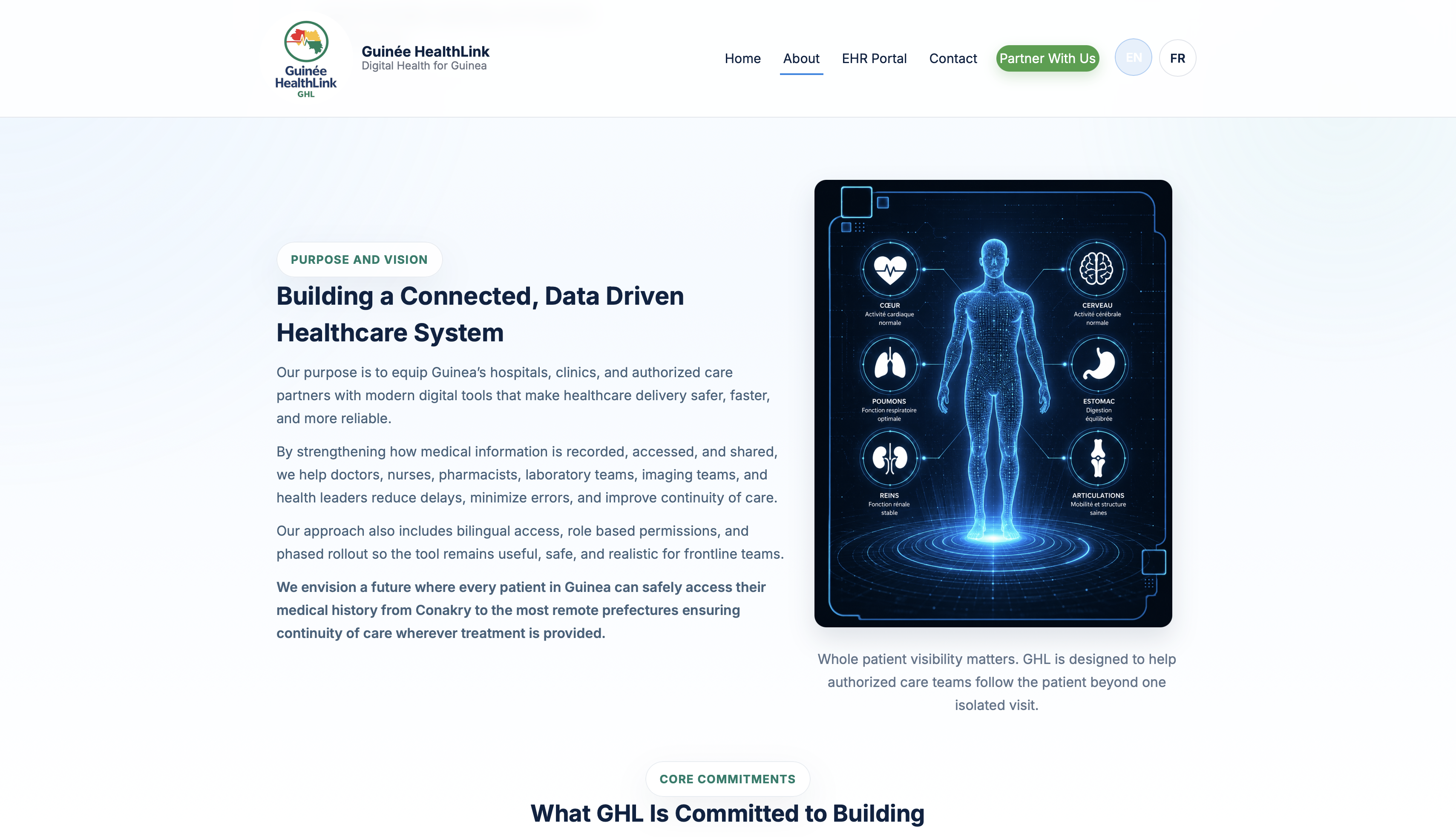 Guinée HealthLink connected healthcare vision webpage